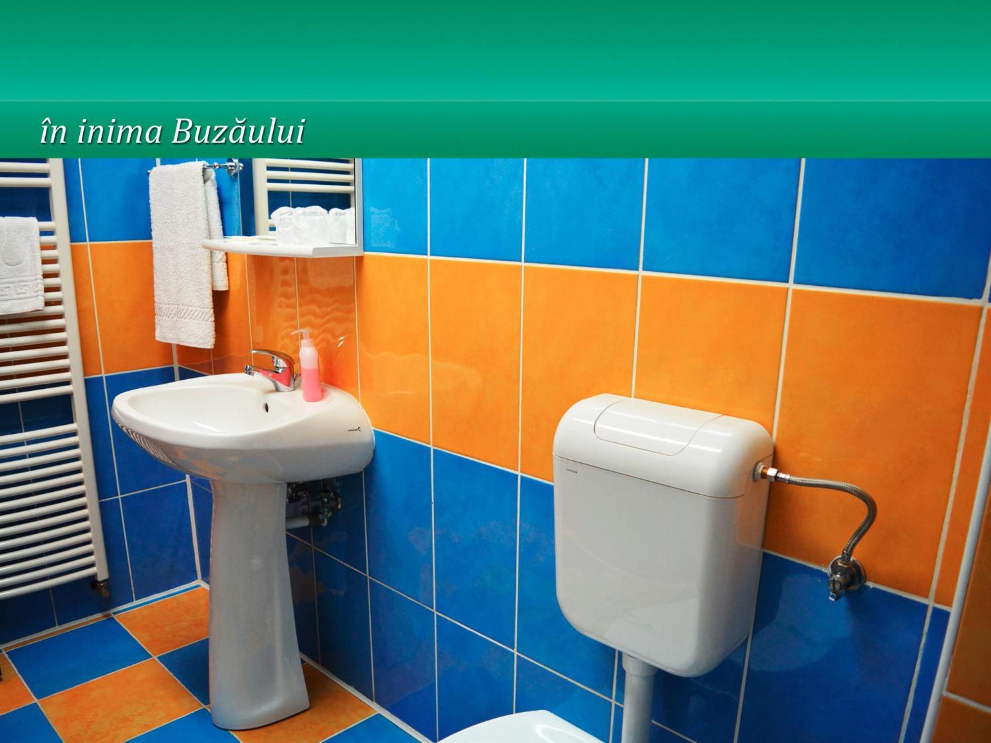 Pensiunea Casa Matei Berca المظهر الخارجي الصورة